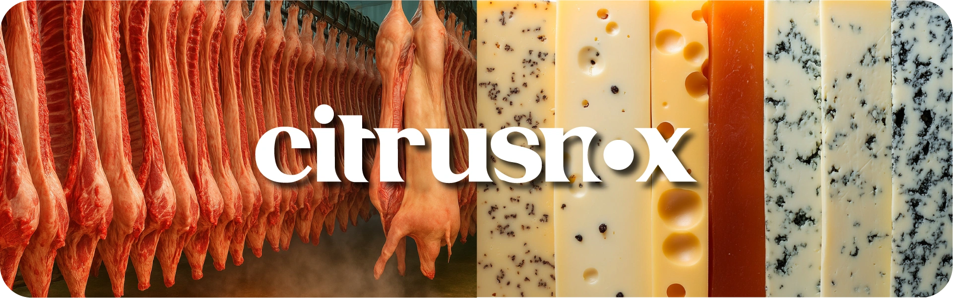 NOX_banner_sec_02-citrusnox.webp NOX_banner_sec_02-citrusnox.webp